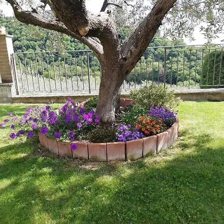 La Casa Tra Gli Ulivi 2*