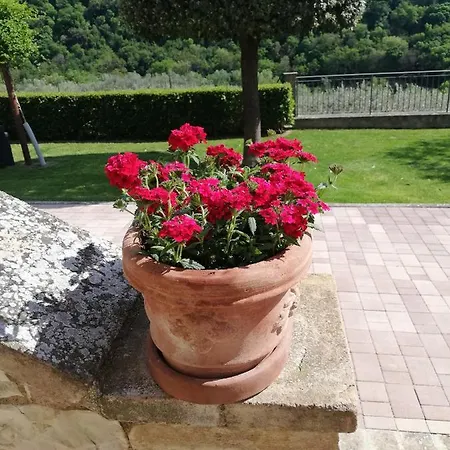 Bed & Breakfast La Casa Tra Gli Ulivi 2*